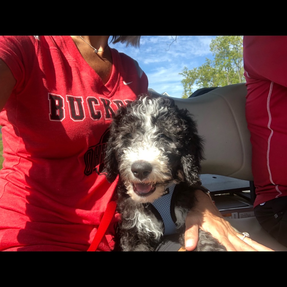 Meet your Posher, Mendy